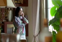 继子爆料母亲视频大全集,揭秘家庭背后的惊人真相