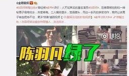 最新龙吟爆料视频播放,揭秘神秘势力与奇幻冒险之旅