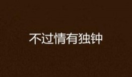 独钟在线观看,揭秘热门剧集背后的魅力与热度