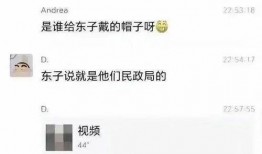 东子吃瓜视频在线播放免费,免费在线观看，揭秘娱乐圈幕后故事