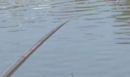 新瓜最新爆料钓鱼视频大全