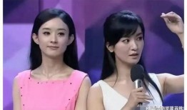 娱乐圈吃瓜爆料那英,揭秘背后的真相与争议