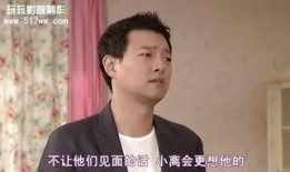 两个妻子韩剧在线观看,两心相依的纠葛人生