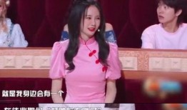 香港媒体爆料沈梦辰视频,香港媒体深度揭秘