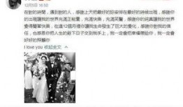吃瓜娱乐网暴事件,网络暴力下的反思与警示
