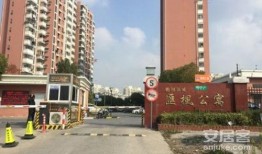 桃园新城最新爆料,揭秘未来城市新地标，最新爆料抢先看