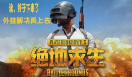 吃鸡小魔仙爆料视频,独家爆料视频深度解析