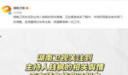 娱乐圈吃瓜词汇