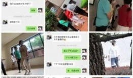 爆料跳单视频大全最新版,最新爆料视频大全深度解析