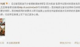 记者最新爆料事件新闻,记者最新爆料事件，真相令人震惊！