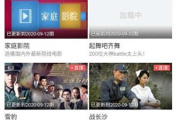 四川某老板爆料视频,揭秘企业内幕与行业真相