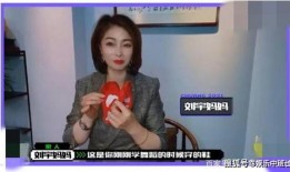 杨丽妈妈爆料视频播放在线观看,揭秘事件背后真相