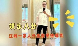 娱乐八卦爆料汪峰,娱乐圈再掀波澜