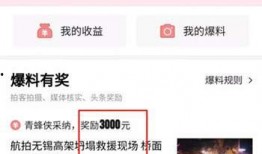 郑州头条今天爆料视频,最新爆料视频内容大起底