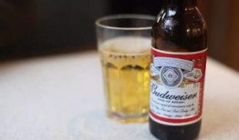 自助啤酒爆料怎么做视频,轻松上手，打造专属风味视频攻略