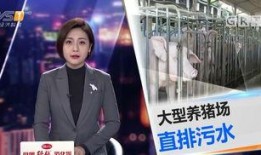 汕头今日一线爆料,揭秘城市热点事件背后的真相