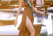 越南小姐冠军爆料视频,独家爆料视频内容大起底