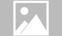 广东最新爆料消息新闻联播,新闻联播聚焦热点事件