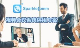 理想维修师傅爆料视频