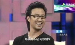 娱乐八卦爆料汪峰,娱乐圈再掀波澜