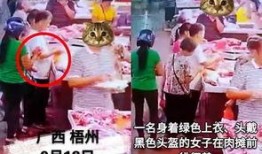 奇葩网友爆料事件视频,揭秘网络事件背后的真相