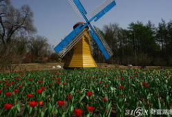 哈尔滨植物园爆料案件最新,惊现神秘命案，真相扑朔迷离！