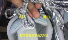 小椰子被爆料视频大全,揭秘背后真相与争议